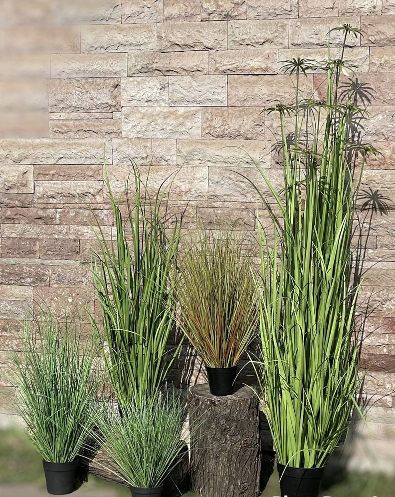 Planta Decorativa Corel Ramo Colgante Cypress Con Berry-3