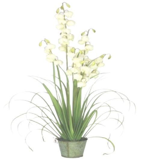 PLANTA DECORATIVA COREL PASTO CON FLOR CAMPANA 122CM Verde 120 CM
