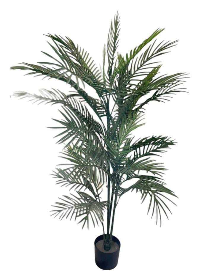 Palmera Robelini 150cm Con Filtro Uv Verde [ 300 ]