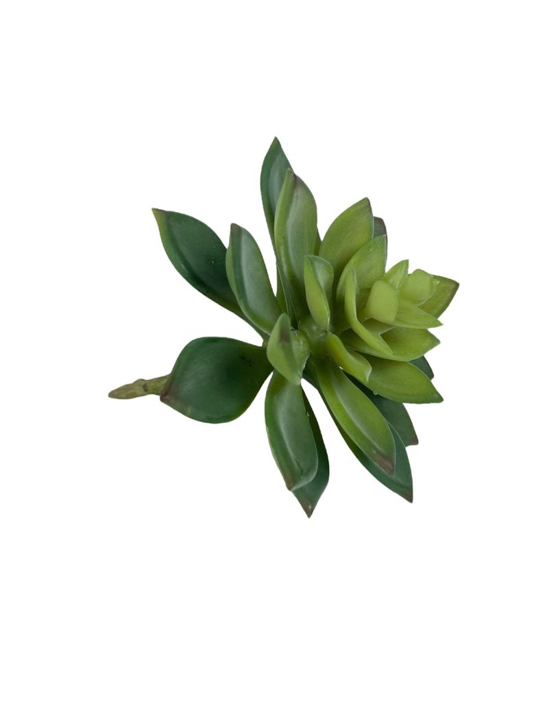 Cactus Decorativo Corel Echeverria Verde 14cm (Sin Macetero)-1