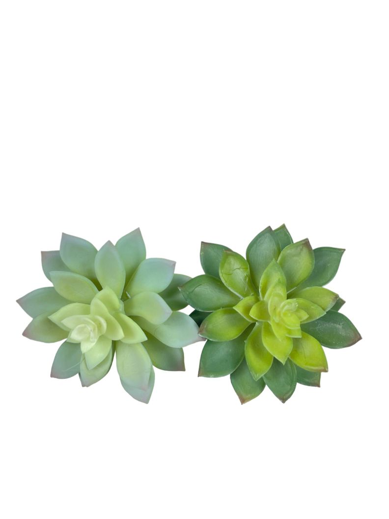 Cactus Decorativo Corel Echeverria Verde 14cm (Sin Macetero)-3