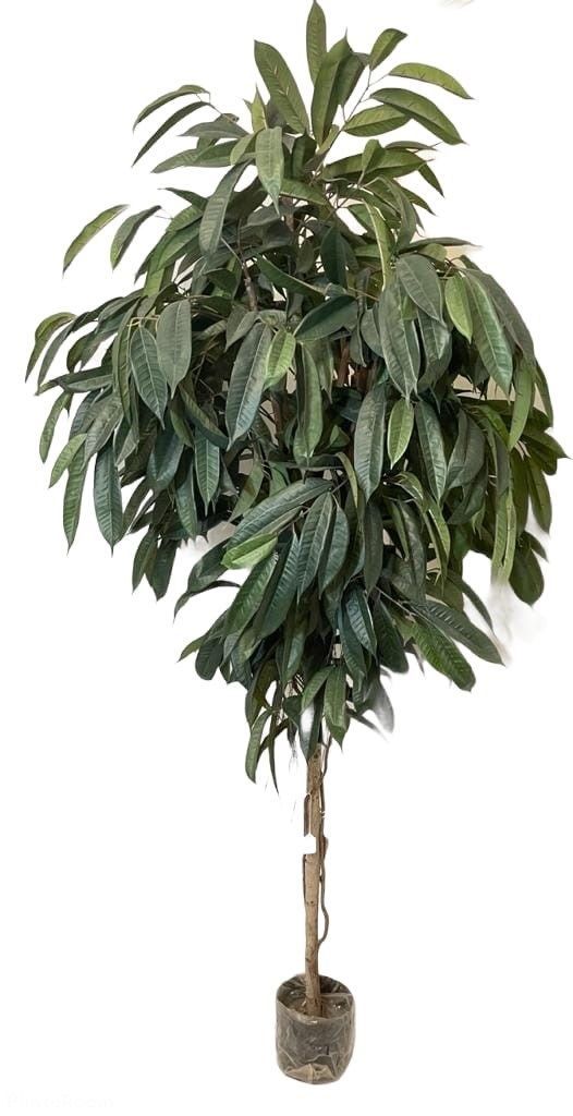 Planta Decorativa Arbol De Ficus Alli (No Incluye )-0