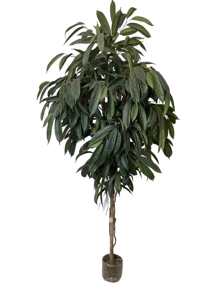 Planta Decorativa Arbol De Ficus Alli (No Incluye )-2