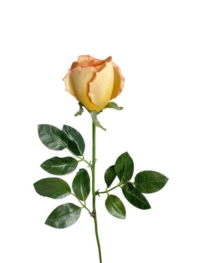 Rosa Mauve-Salmon 75cm Artificial | Estilo Natural para Interiores y Vitrinas Rosado