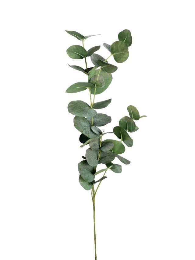 Rama Artificial de Eucalipto 79cm Artificial | Estilo Natural para Interiores y Vitrinas Verde
