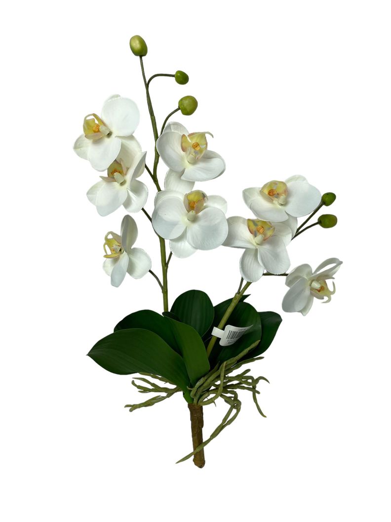Orquidea Chica Con Hojas 30cm