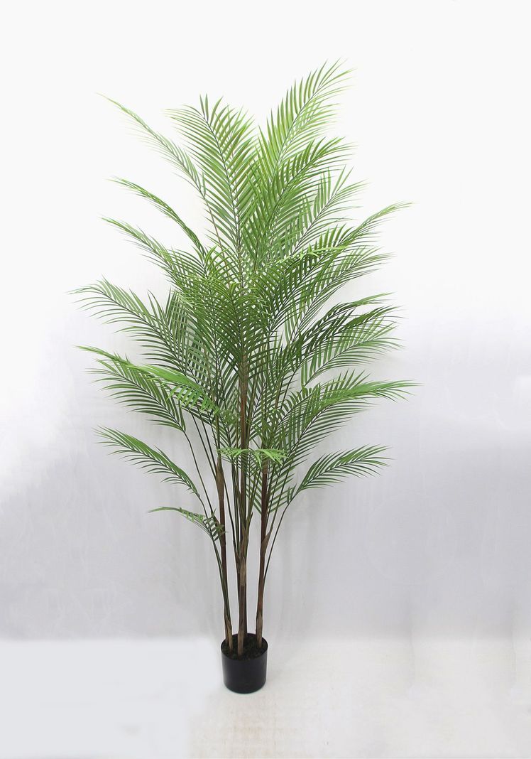 Planta Decorativa Corel Palmera Areca Hoja Fina 180cm-0