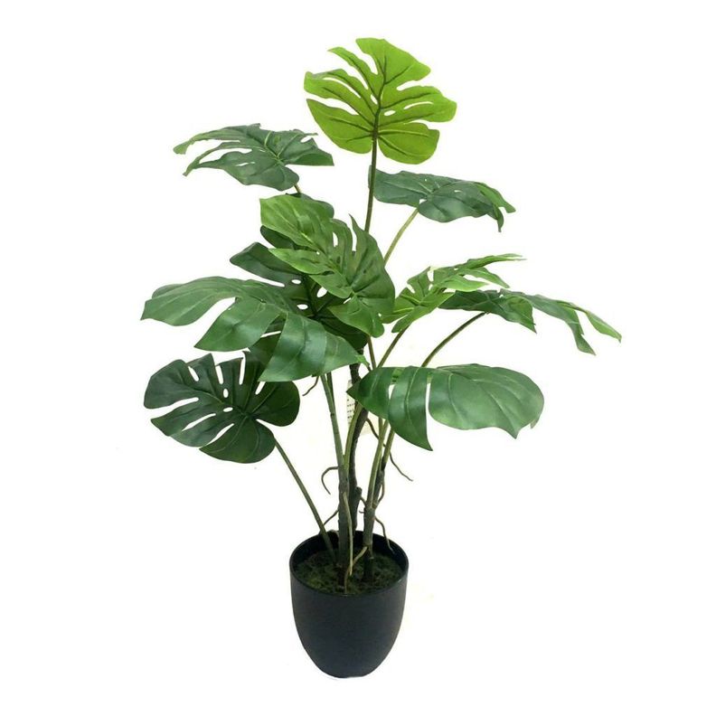 Planta Philodendro 89Cm-0