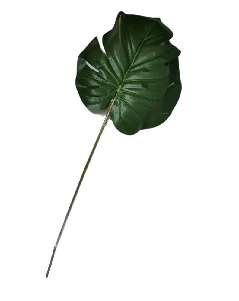 Planta Decorativa Hoja Philo 70Cm-0
