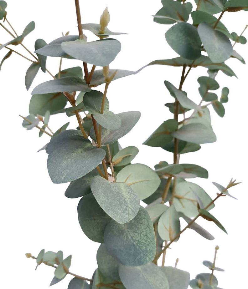 PLANTA DECORATIVA COREL ARBOL DE EUCALIPTO 180CM-1
