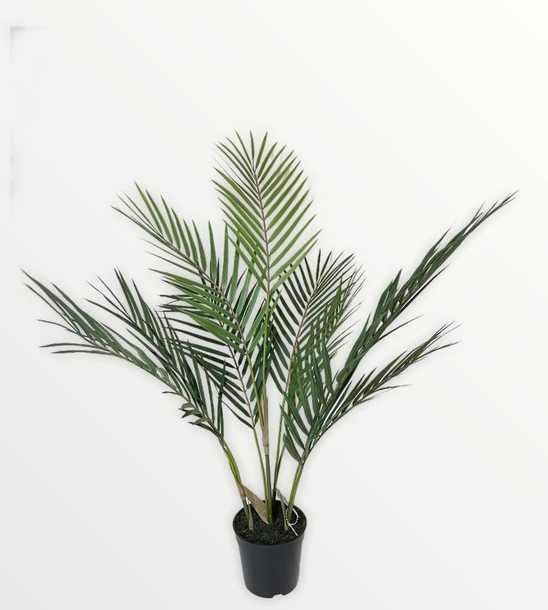 Planta Decorativa Palmera Areca Hoja Fina 71Cm-0