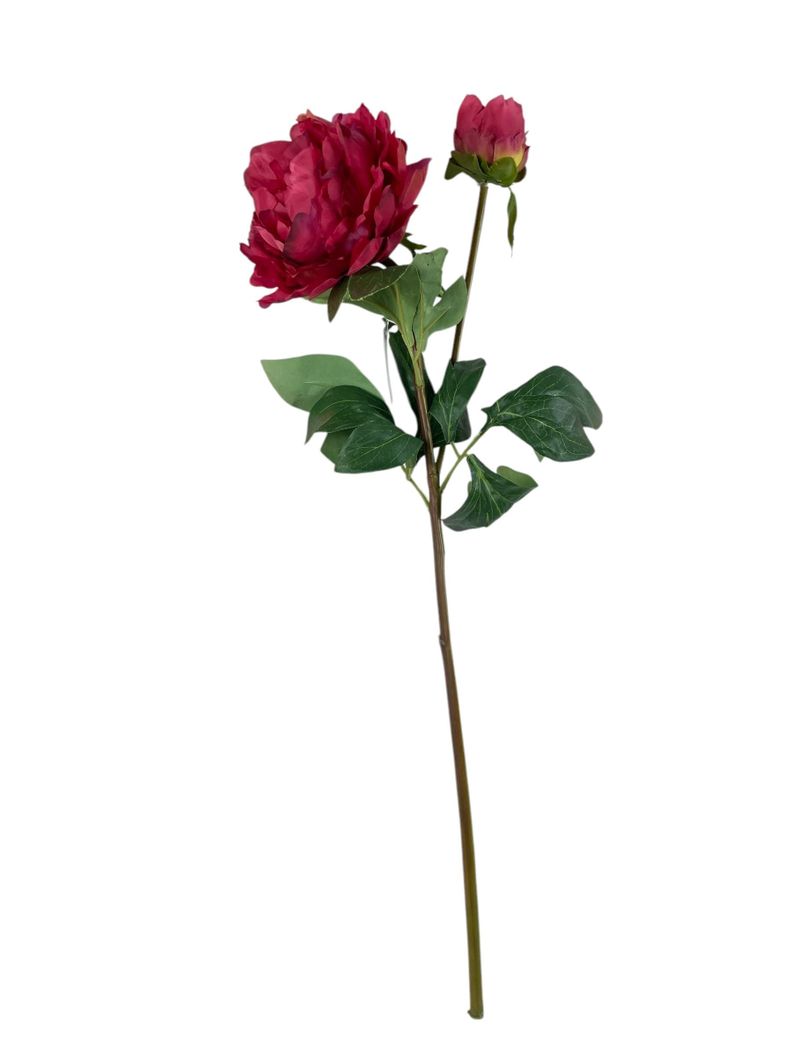 Peonia Roja con Boton 61 cm Artificial | Estilo Natural para Interiores y Vitrinas Rojo