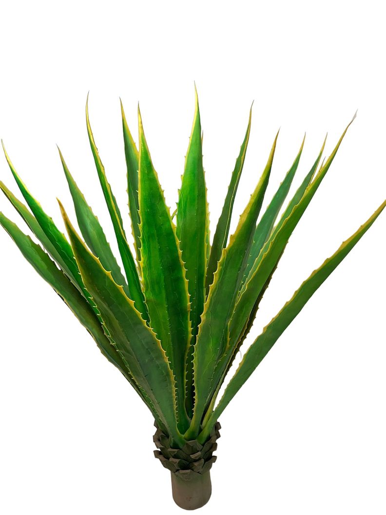 CACTUS DECORATIVO COREL AGAVE VERDE-AMARILLO 135CM-0
