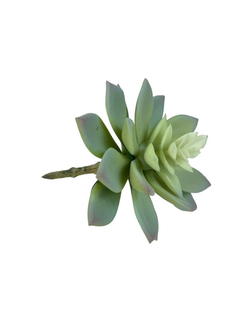 CACTUS DECORATIVO COREL ECHEVERRIA GRIS 14CM-1