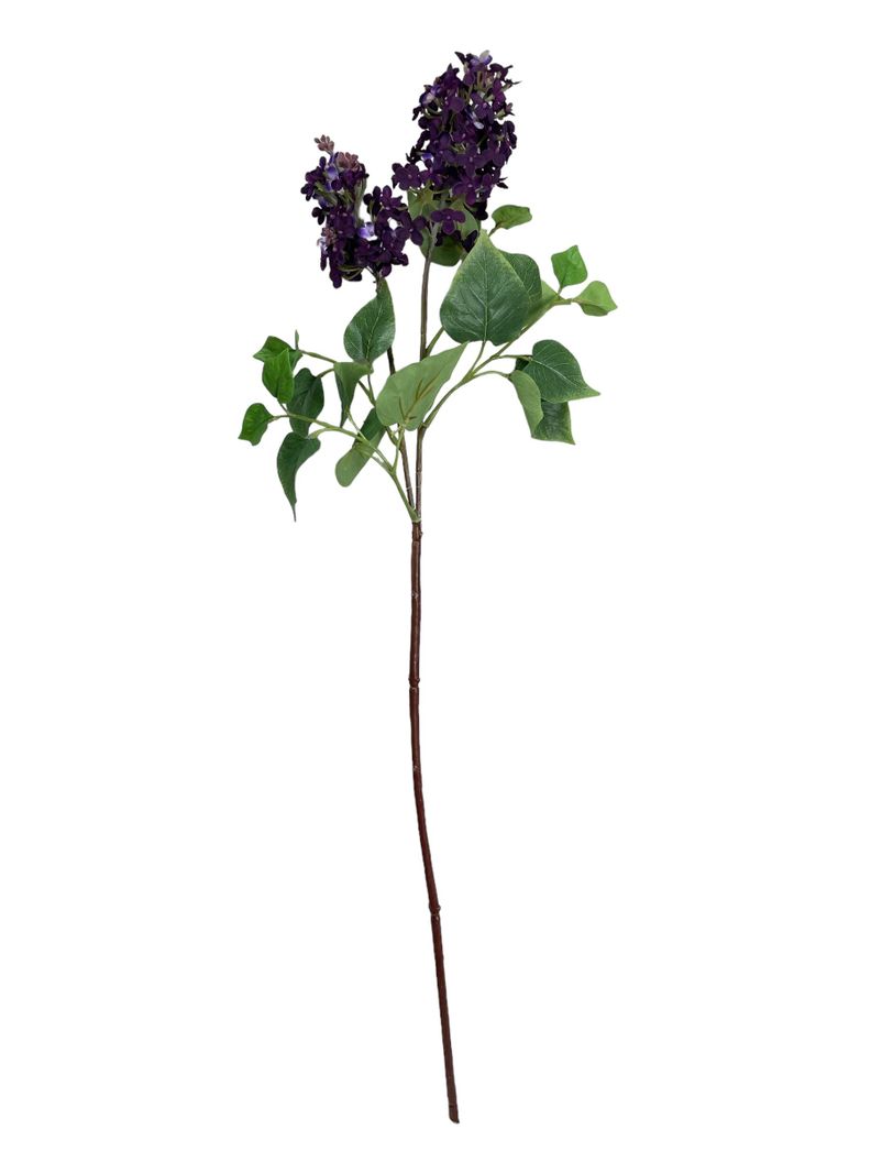 Lila Morada 85cm Purpura