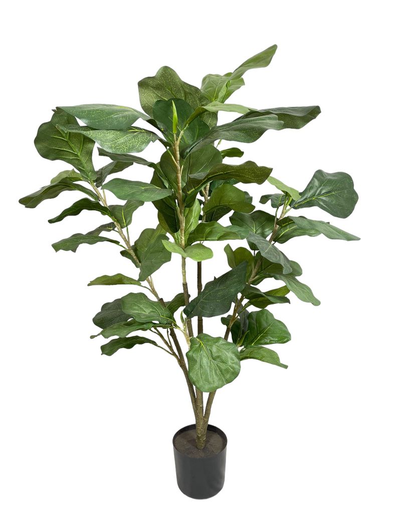 ARBOL LYRATA 90CM-0