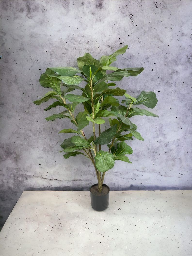 ARBOL LYRATA 90CM-2