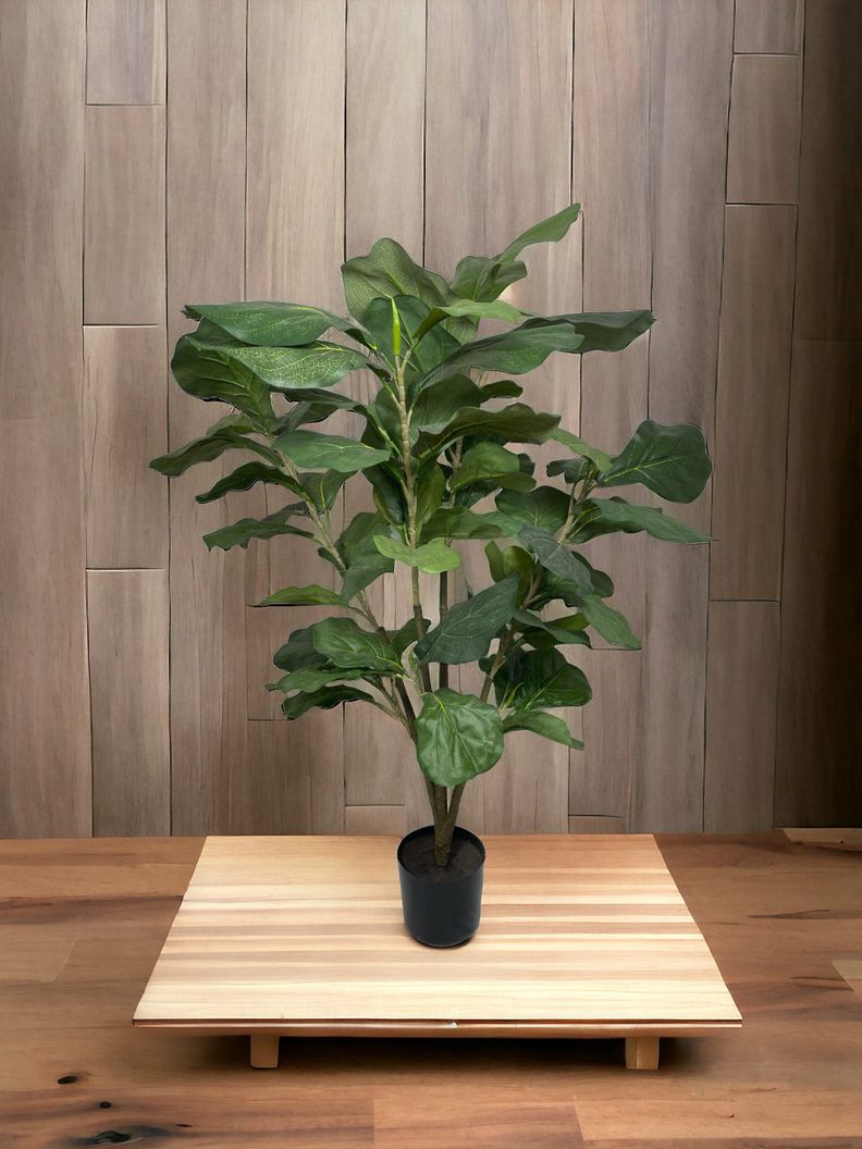 ARBOL LYRATA 90CM-3