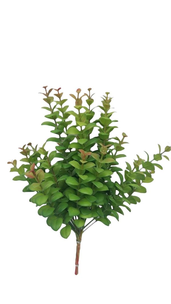 Ramo Decorativa Arbusto Money Verde-Rojo