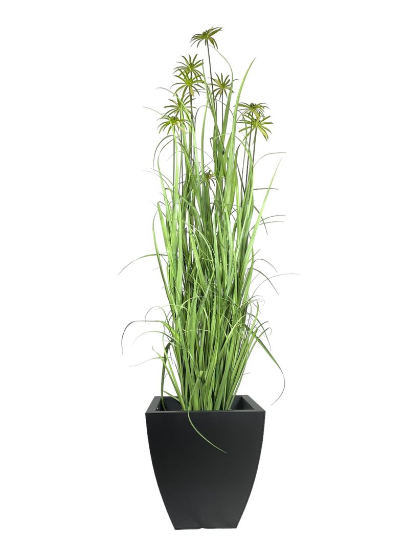 PLANTA DECORATIVA COREL PASTO CON PAPIRO 180CM-2