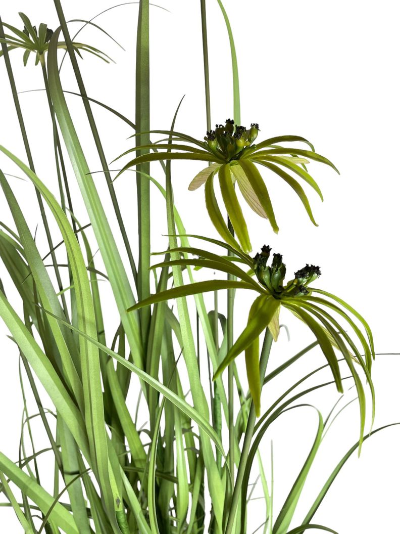PLANTA DECORATIVA COREL PASTO CON PAPIRO 180CM-3