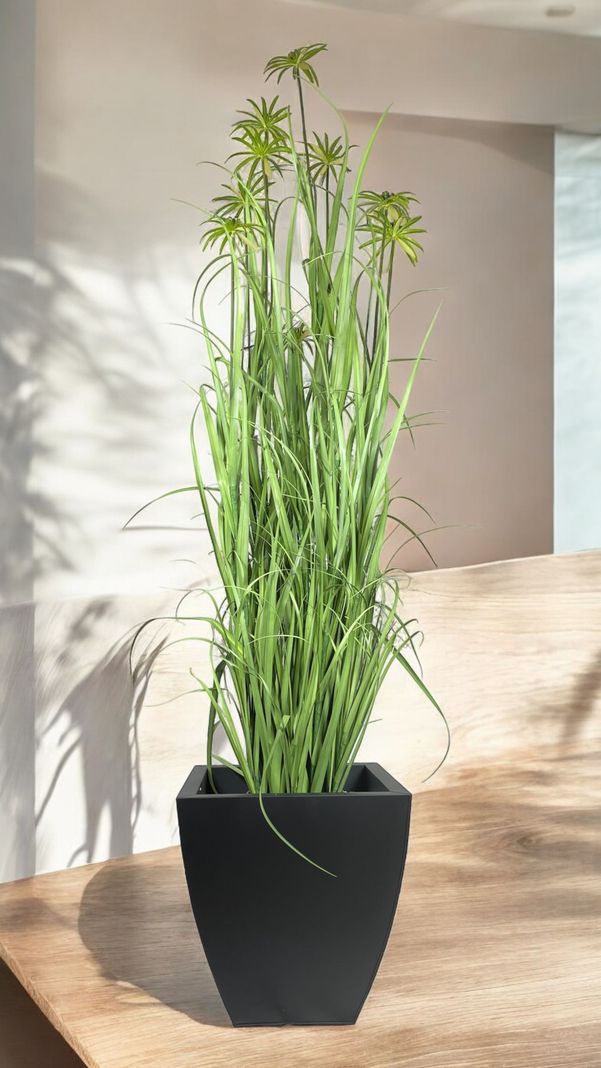 PLANTA DECORATIVA COREL PASTO CON PAPIRO 180CM-4