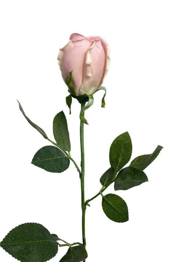 Rosa Rosada 75cm Artificial | Estilo Natural para Interiores y Vitrinas Rosado