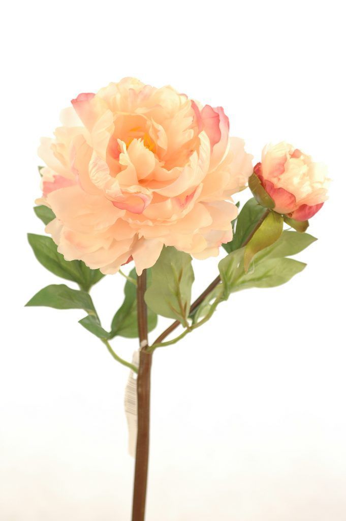 Flor Decorativa Corel Peonia Con Boton Rosada Clara 54cm-0