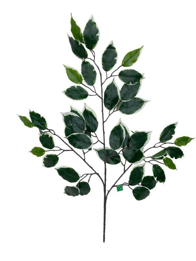 Rama Artificial De Ficus Variegada 50cm Artificial | Estilo Natural para Interiores y Vitrinas Verde