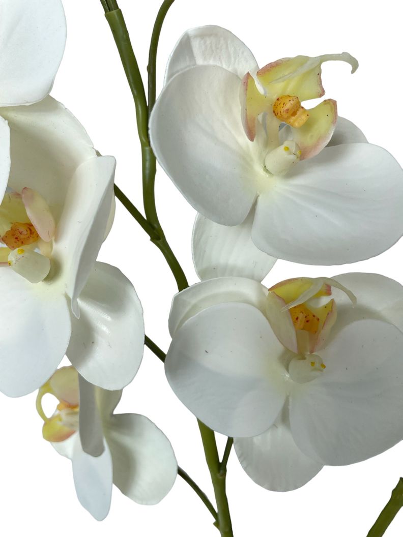 Planta Orquidea Chica Con Hojas 30Cm-1