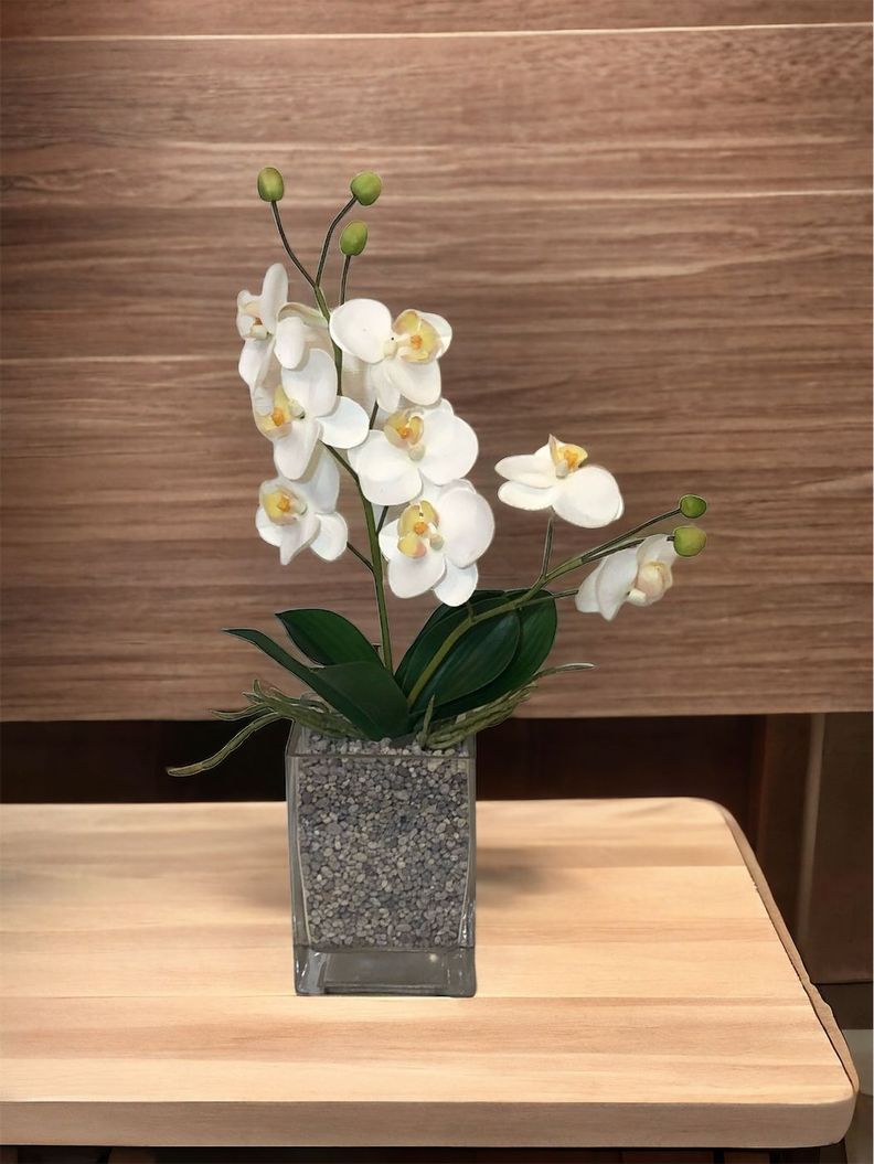Planta Orquidea Chica Con Hojas 30Cm-2