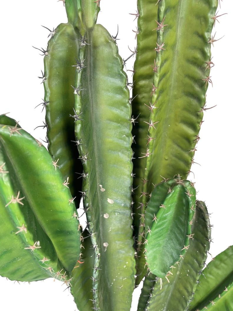 Cactus Decorativo Verde Oscuro 110 Cm-2