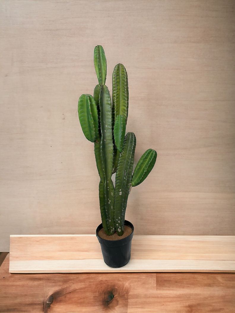 Cactus Decorativo Verde Oscuro 110 Cm-3