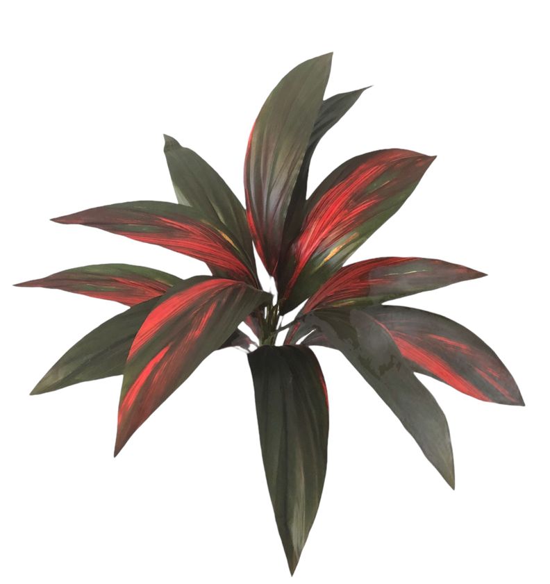 RAMO DE PLANTA COREL CORDELYNE 56CM-0