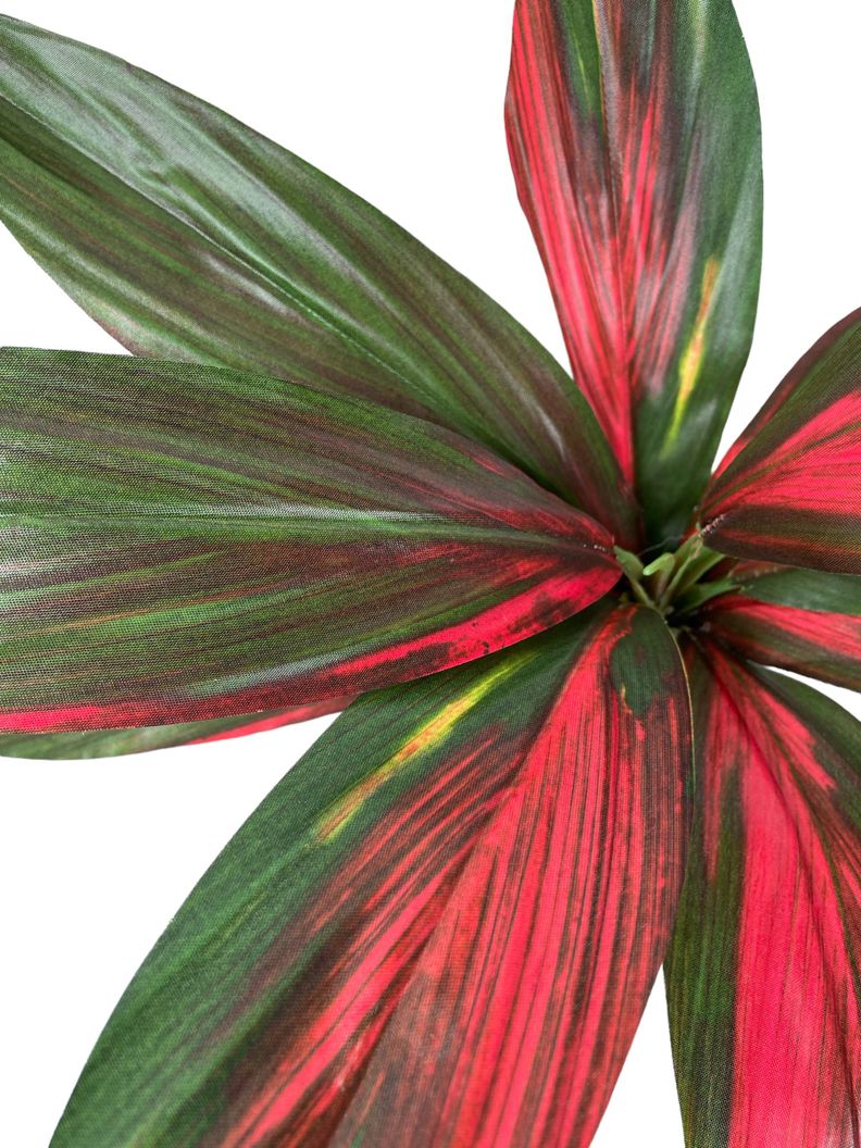 RAMO DE PLANTA COREL CORDELYNE 56CM-1