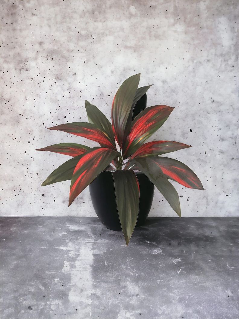 RAMO DE PLANTA COREL CORDELYNE 56CM-2