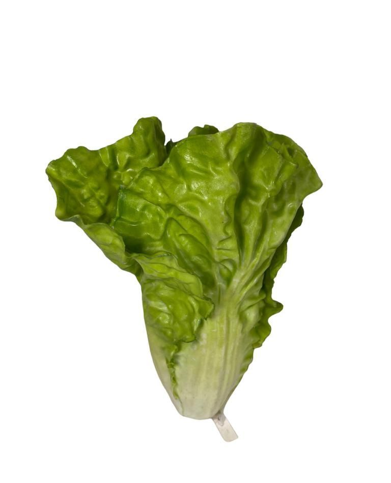 Lechuga Costina Artificial 17cm