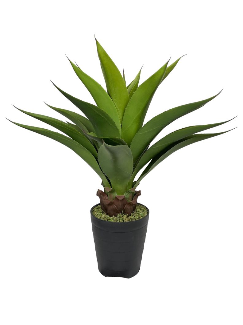 Cactus Decorativo Agave 75Cm-0