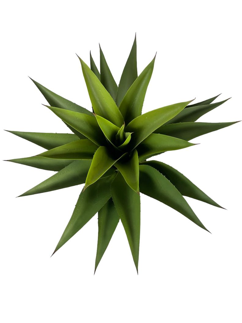 Cactus Decorativo Agave 75Cm-1
