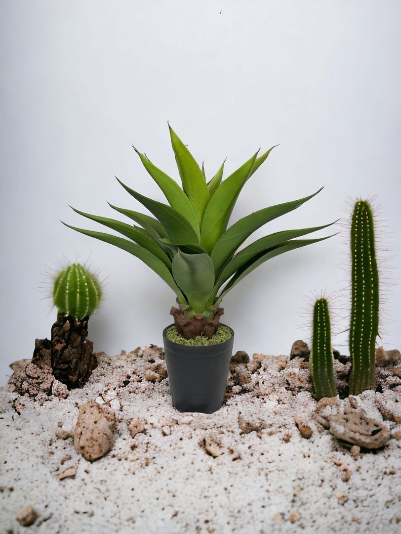 Cactus Decorativo Agave 75Cm-3