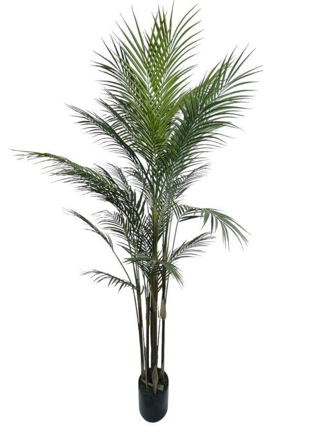Areca Hoja Fina 183 cm Artificial | Estilo Natural para Interiores y Vitrinas Verde