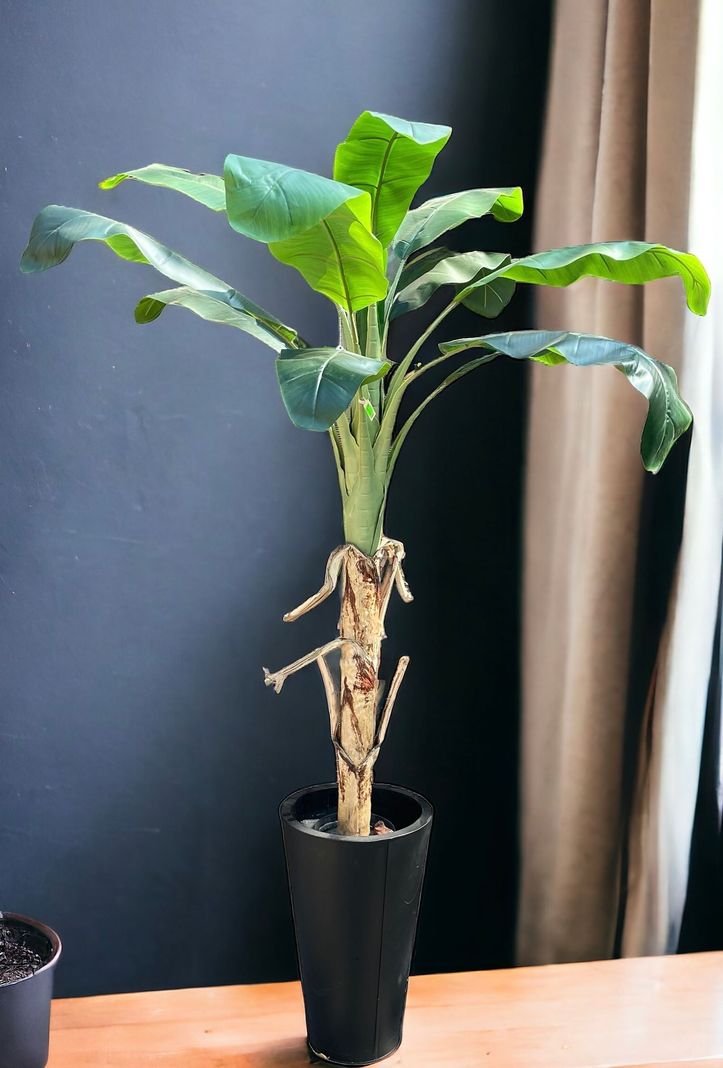Planta Decorativa Arbol De Banano 175Cm-3