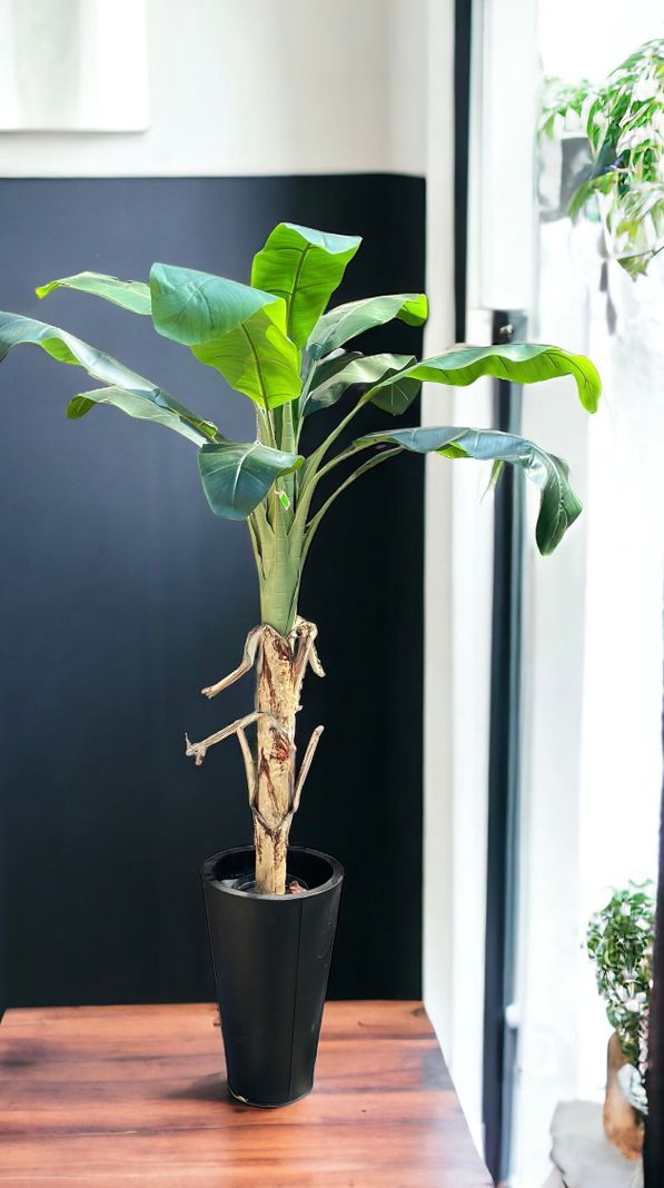 Planta Decorativa Arbol De Banano 175Cm-1