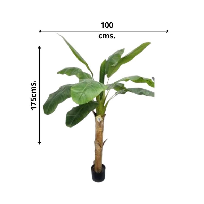 Planta Decorativa Arbol De Banano 175Cm-2