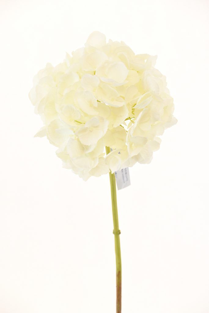 Hortensia Blanca 50cm Artificial | Estilo Natural para Interiores y Vitrinas Blanco