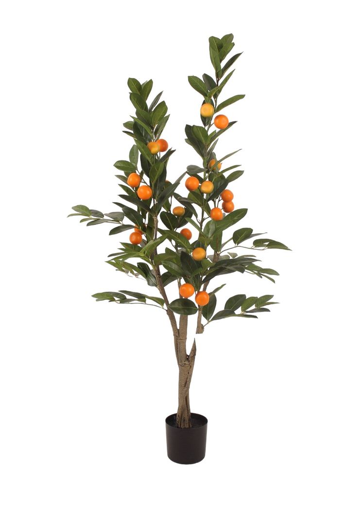 Planta Decorativa Corel Arbol De Mandarino 120cm-0