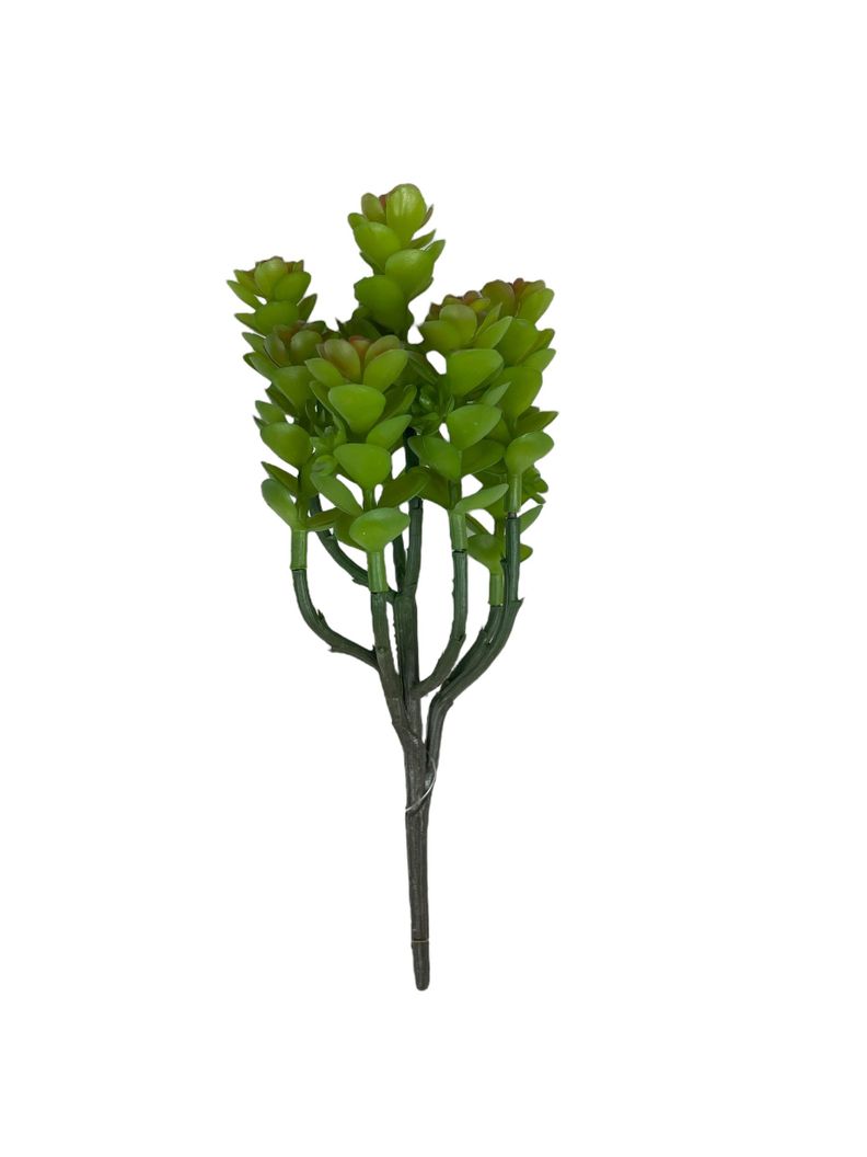 Cactus Boxwood 20cm Verde [ 300 ]