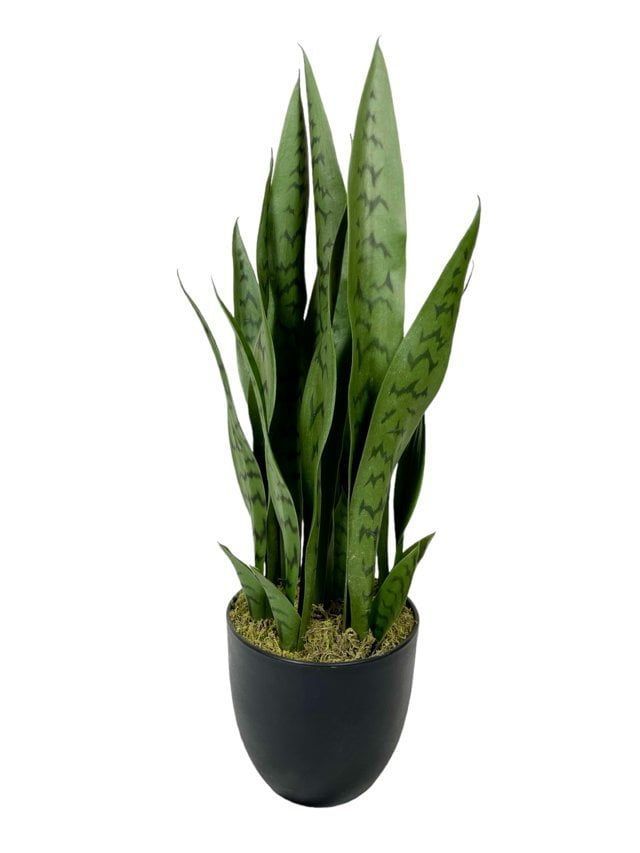 Sanseviera Verde de 69cm Artificial | Estilo Natural para Interiores y Vitrinas