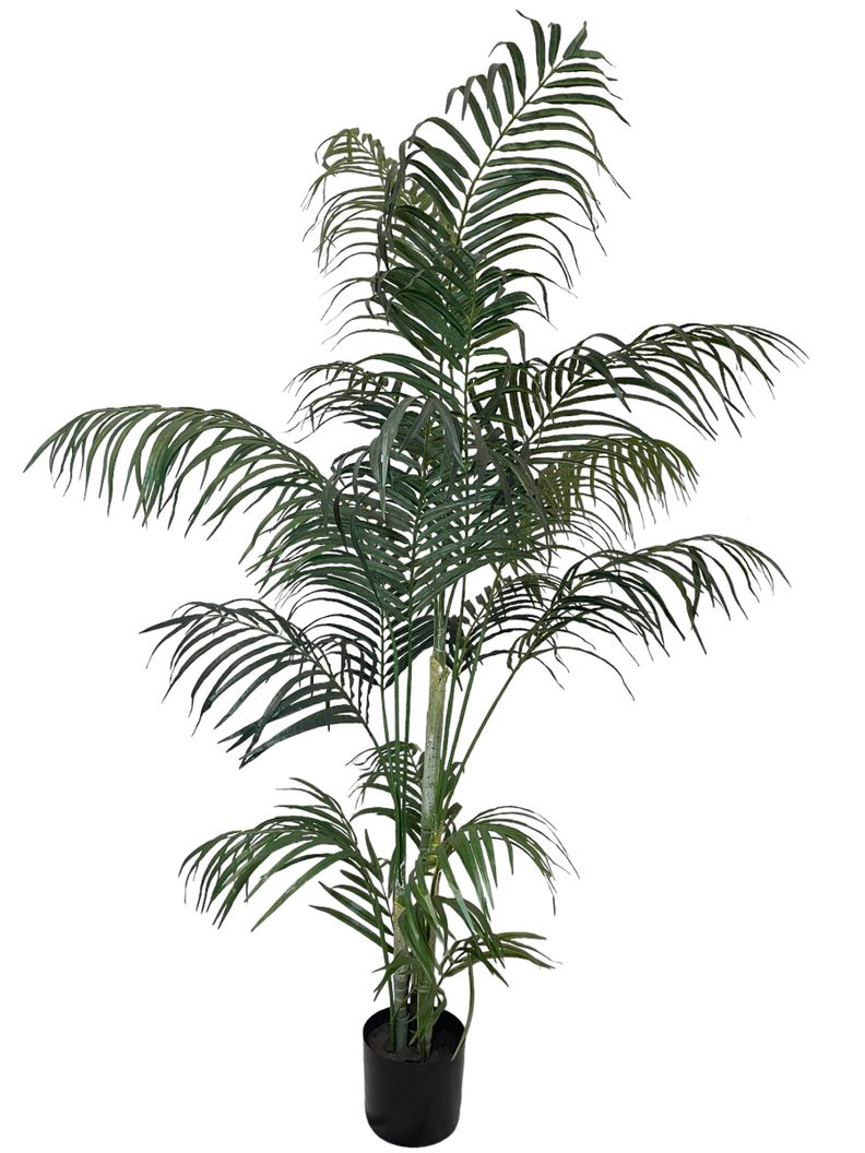 Planta Decorativa Palmera Areca 210 Cm Verde