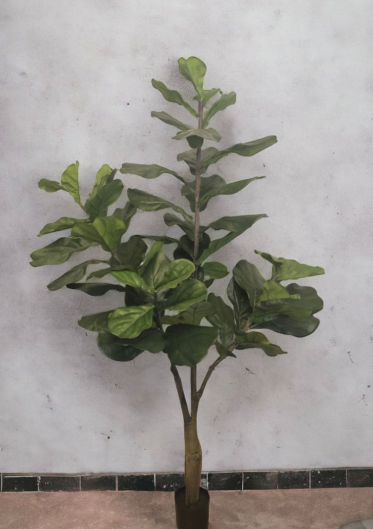 Planta Decorativa Arbol De Fiddle 180Cm-1